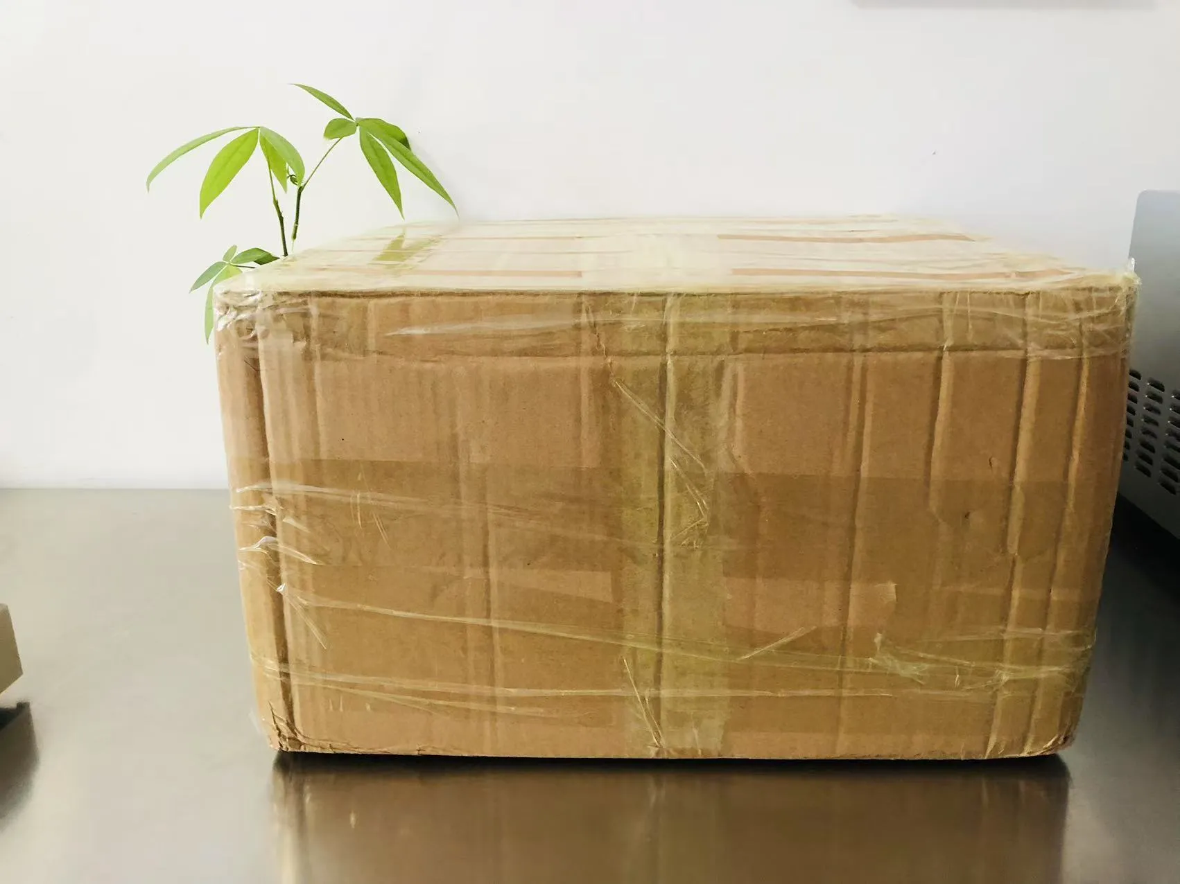 Cizgi filmi bərk epoksi stikerləri indi Yaponiyaya gedir